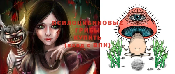 ешки Касимов