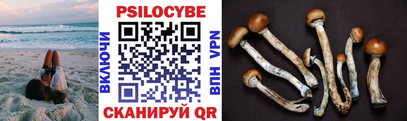 Псилоцибиновые грибы GOLDEN TEACHER  Купить  Ефремов 